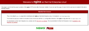 accessing nginx from browser in nginx installation